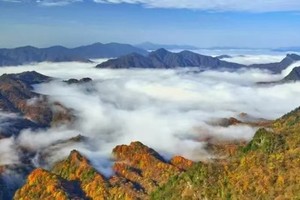 【11月16日-瓦屋山彩林季】满山红遍的油画世界，与云海、瀑布、高山湖泊同框，美得无与伦比！免门票优惠。