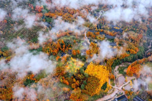 【11月23日-川版小禾木琉璃坝】琉璃坝穿越至干五里坪，摄影彩林暴击的鸡冠山森林，沙陀古国的初冬美丽之旅！