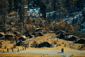 【理小路一日游天天发团】四川自己的独库理小路！雪山环绕绝美公路，轻松打卡一日精华景点全览！