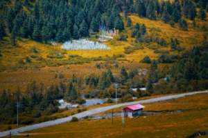 【11月30日-川版小禾木琉璃坝】琉璃坝穿越至干五里坪，摄影彩林暴击的鸡冠山森林，沙陀古国的初冬美丽之旅！