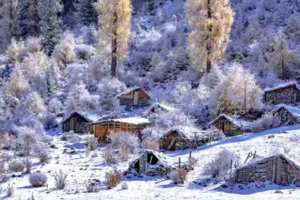 【理小路的冰雪世界一日游】川版阿勒泰的冰雪世界，雪山环绕绝美公路，轻松打卡摄影精华景点！