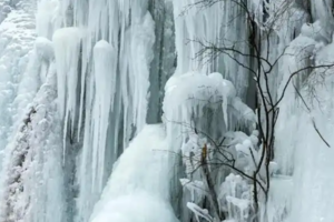 【12月28日-卧龙关沟冰瀑布】大自然雕刻的冰雪艺术品，美丽而静谧的原始森林，小众宝藏秘境卧龙关沟冰瀑布！