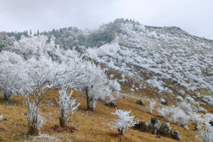 【元旦节78元特惠-云中岭冰雪雾凇】元旦节登顶云中岭，遇见最美雾凇、雪山、云海、银装素裹原始森林，新年事业和财富步步高！