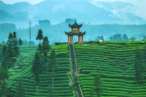 【4月19日-大地指纹牛碾坪】踏青雪山下的大地指纹牛碾坪，摄影烟雨水乡夹关古镇，品川西物美价廉的地道美食！