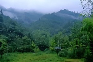 【5月1日68元特惠-龙窝子挖竹笋】叠翠原始森林美景，挖楠竹笋，挖酸鸡杆、折耳根、蕨菜！