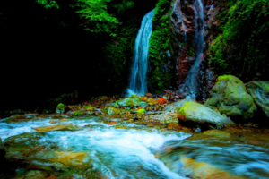 【6月2日-大飞水原始森林公园】徒步西岭前山大飞水，摄影美丽瀑布群，偶遇可爱动物小松鼠猴子！