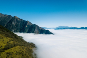 【6月29日-小塔公草原的魅力夏天】青青草原，翠叠原始森林，云海、蓝天、白云、牛群、羊群、马群同框，美得如童话世界！