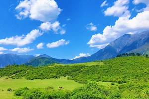 【7月20日-原野牧歌熊猫坪】在醉美的高原牧场放纸飞机或风筝，与青青大草原、鲜花、蓝天、白云、雪山相伴！