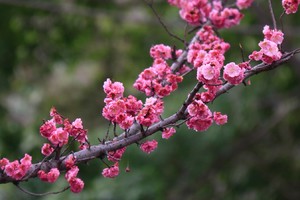 《直起来靓起来，年轻人！》先锋行动者福利计划