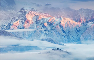 【元旦节-王岗坪2日游3期】无高反直面贡嘎雪山，森林漫步，星空露营，被央视疯狂点赞的秘境！