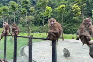 【元旦节1月2日亲子主题59元特惠-回龙沟领奖牌】徒步山间大峡谷，摄影暮光森林，偶遇野生猴子，打卡领奖牌！