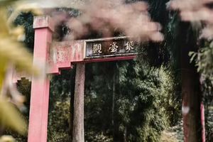 【1月17日68元特惠-松茂古道】徒步松茂古道，穿越历史文化与自然风景并存的茶马古道！