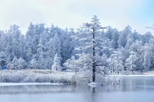 【1月25日-瓦屋山瓦屋山冰雪世界】最美桌山的巅峰颜值，冰雪、云海、雾凇、冰挂、高山湖泊、瀑布装扮的冰雪嘉年华！