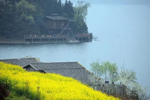 【中都油菜花+雷波马湖2日游周六发团】摄影中都万亩油菜花；逃离喧嚣归于湖山，雷波马湖避世休闲游！