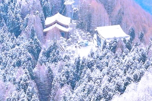 【1月28日寒假亲子59元特惠-太阳湾】徒步登顶龙门大峡谷，摄影可爱的小动物，偶遇美丽雾凇和冰雪世界！