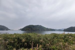 【1月25日-龙泉山拉练】百工堰穿越至飞龙湖，打卡领奖牌！