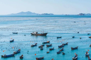 【春节-京族三岛6日游】探秘中越边境的斯里兰卡，深度体验海边生活！