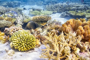 【春节-北海南极村6日游】出海赶海，美丽的海岛体验，解密中国大陆最南端南极村！