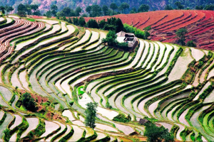 【春节-攀西暖冬五日游】新年祈福，阳光攀西，会理古城、二滩、新山梯田、颛顼溶洞！