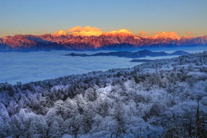 【春节-王岗坪2日游2月18、19、20、21日发团】无高反直面贡嘎雪山，森林漫步，星空露营，被央视疯狂点赞的秘