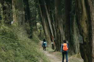 【春节-金牛古道1日游2.19/20/21】步入千年历史古道，打卡“世界交通史上的活化石”！