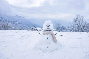 【春节-九顶山玩雪1日游天天发发团】玩雪专场，风景绝美心飞扬，体验滑雪的速度与激情！