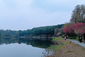 【3月1日快乐单身徒】锦江宾馆+锦江绿道+百花潭公园+浣花溪公园+杜甫草堂，一路花海一路快乐！