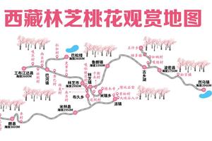 雪山桃花源之旅