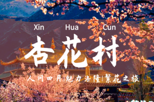 洛隆映像-繁花之旅（杏花村）精品二日游