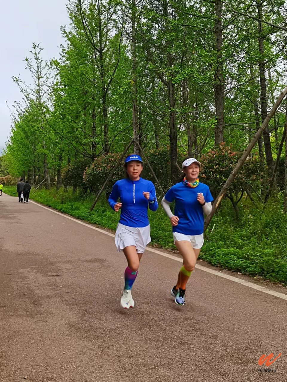 e4V4vzV2KrBJ3mlbrMjjSsPS3vInQIvT27KS8xnvzBV9-BbKrTsCdWhjGISx0usT