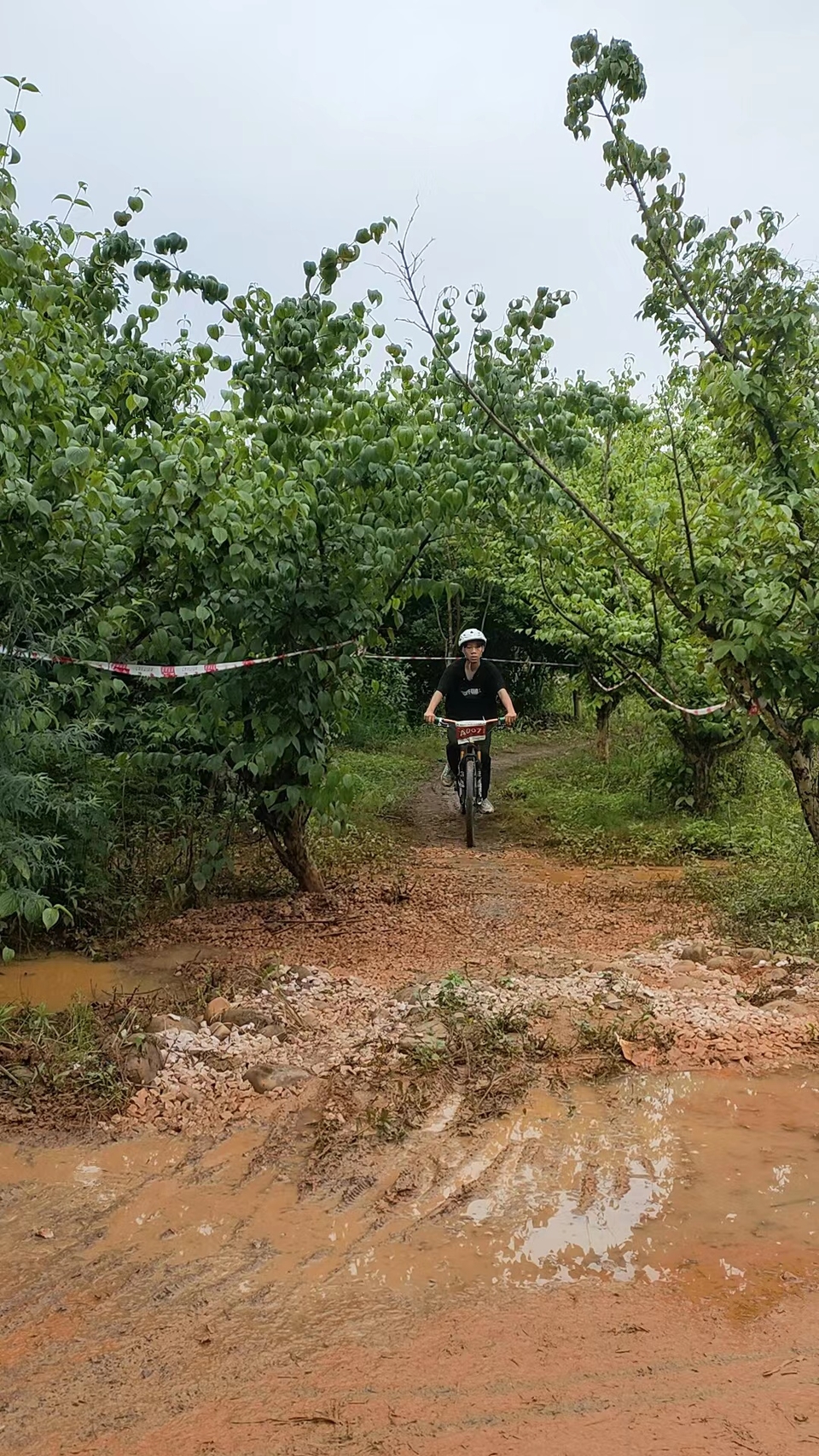 W2YnR2skVXRQskqp12BBavGKK_zCL5cfkArWKvfVM-AuTHIj9i-jeKabaPYM7MND