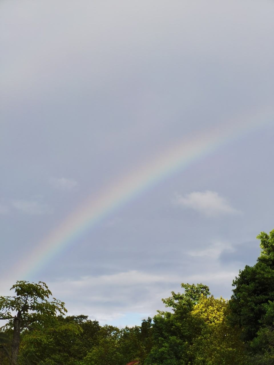 IvK1xezPT60g0phVfwgfQfIvkW9BTjYcL0E5u01dXDYIqinObowxflY38Wh8Wmfv