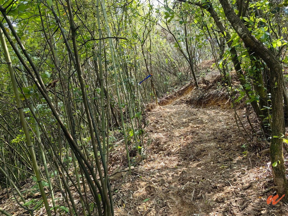 NFw1tbpd7Gti9keZ5vbKN59V-yg1Y2EeGIslXW658VhAGvMQ5KLbL7_RUIlCnjhT