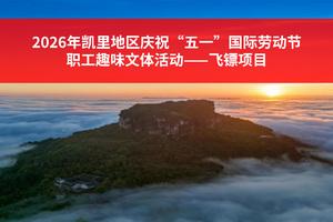 2026年凯里地区庆祝“五一”国际劳动节职工趣味文体活动——飞镖项目