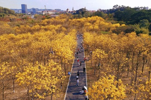 东莞 松山湖骑行30公里环湖绿道，一路欣赏湖景风光 【休闲游玩】