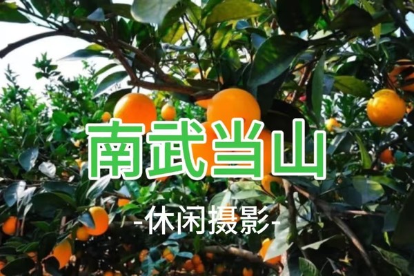 成团 108元起！周日赣南脐橙之乡，入园任摘任吃，攀龙南武当山，绝美丹霞地貌，玩转全景玻璃桥~