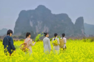 成团！479起！ 4.4-4.6 黄姚古镇、阳朔踏青、遇龙河拍油菜花、如意峰