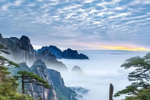 成团！4.4-4.6 江西婺源油菜花 望仙谷 三清山 3天高铁