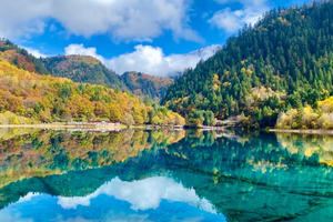 成团！【经典九寨5天】成都+九寨沟+黄龙+都江堰or中华大熊猫苑纯玩5天4晚（天天发团）