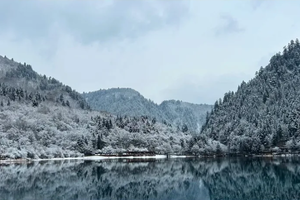 成团！【慢游成都九寨6天】成都+九寨沟+黄龙+都江堰or中华大熊猫苑纯玩6天5晚（天天发团）