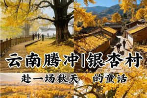 成团！边城滇西：昆明 瑞丽 芒市 腾冲双飞双动6日游（天天发团）