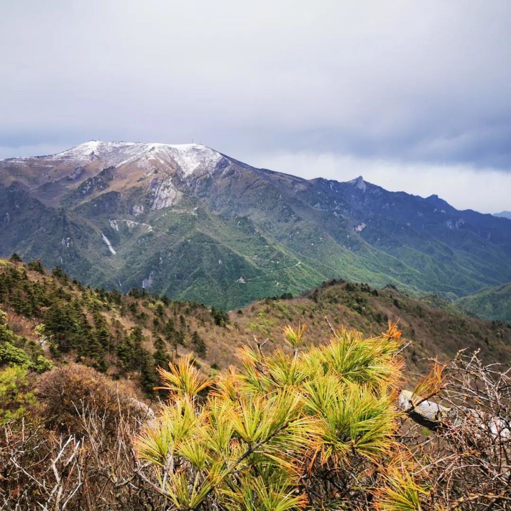 泥巴旅行4月4日分水岭朝天场高山草甸穿越