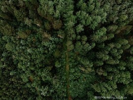 william-hope-1081265-unsplash