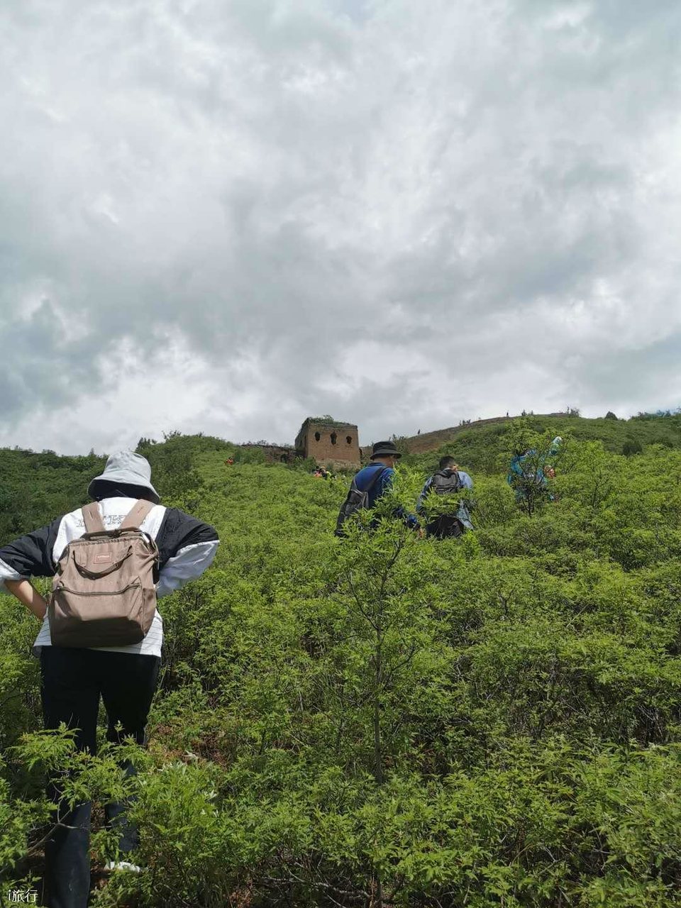 微信图片_20200601084800