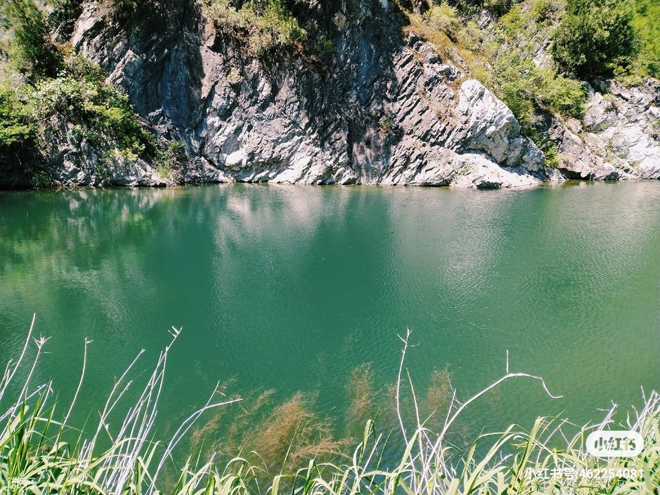 XHS_159030320846321590303517571