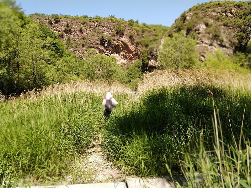 微信图片_20200601214209_副本