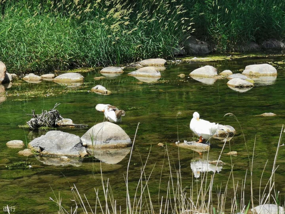 微信图片_20200607141415