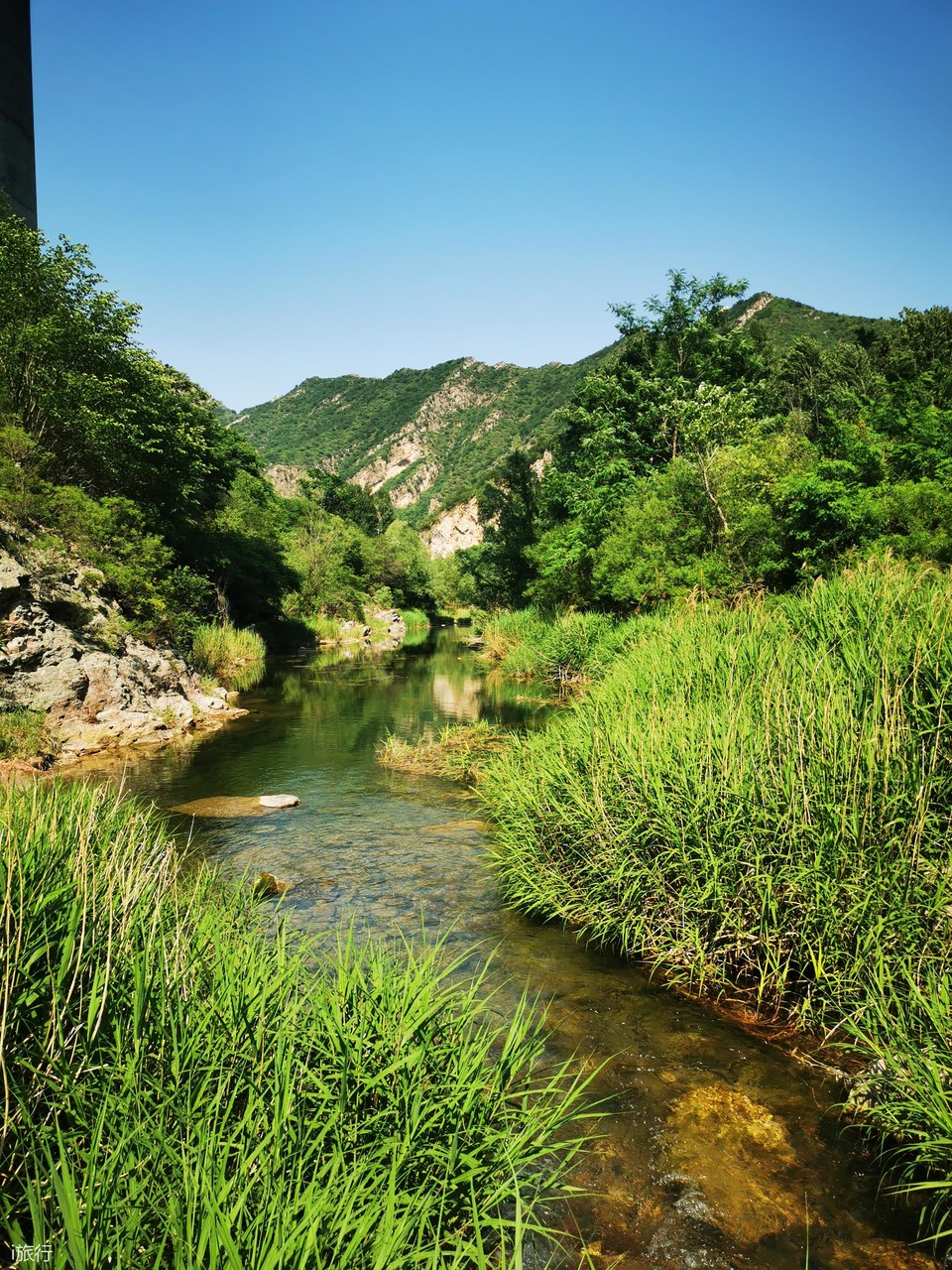 微信图片_20200607142129