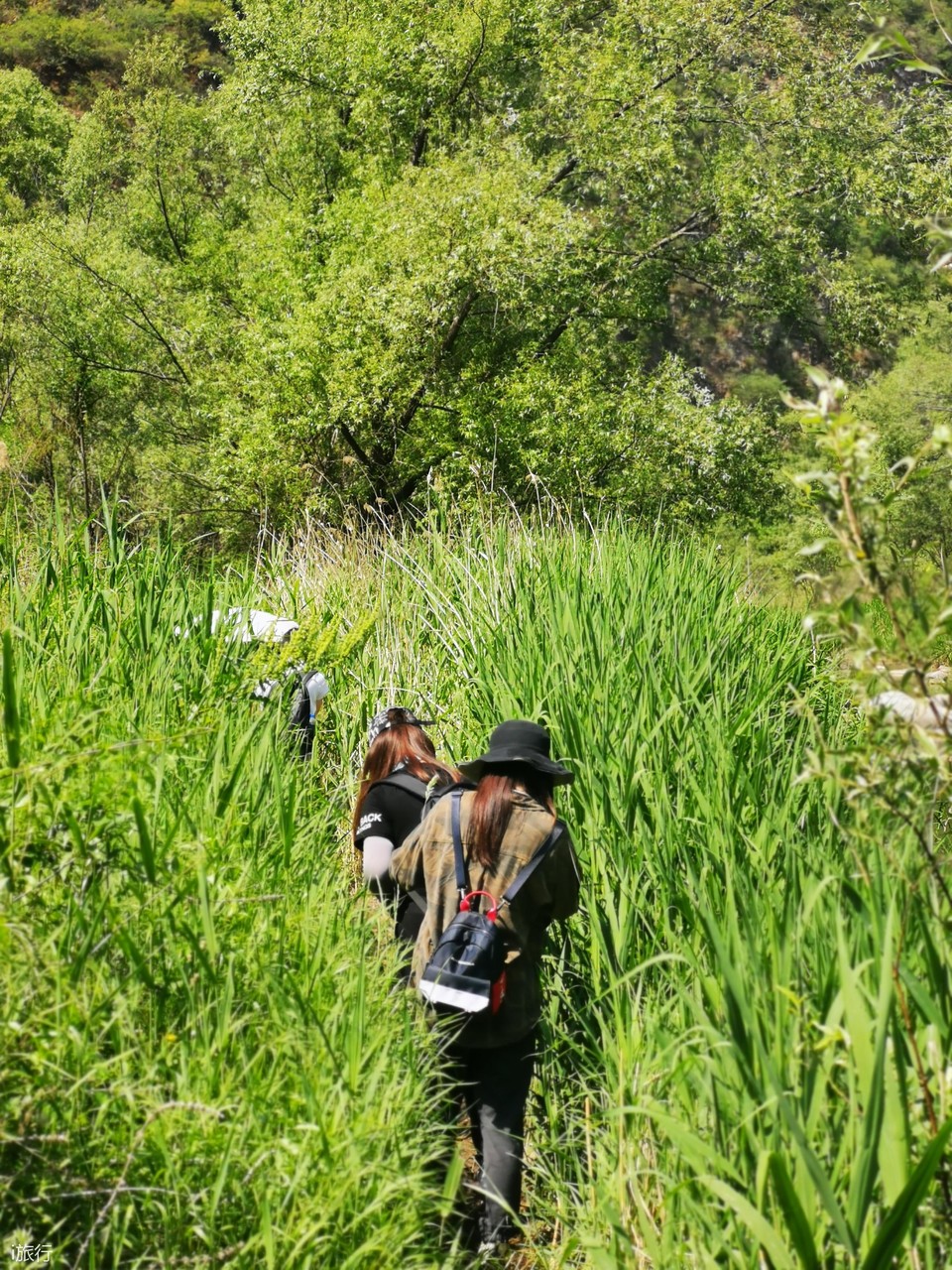 微信图片_20200607142135