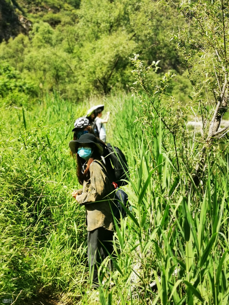 微信图片_20200607142138